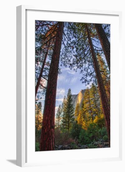 North View Through The Trees, Firefall, Horsetail Falls, Yosemite National Park-Vincent James-Framed Photographic Print