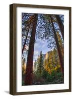 North View Through The Trees, Firefall, Horsetail Falls, Yosemite National Park-Vincent James-Framed Photographic Print