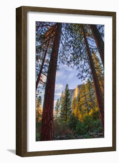 North View Through The Trees, Firefall, Horsetail Falls, Yosemite National Park-Vincent James-Framed Photographic Print