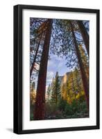 North View Through The Trees, Firefall, Horsetail Falls, Yosemite National Park-Vincent James-Framed Photographic Print