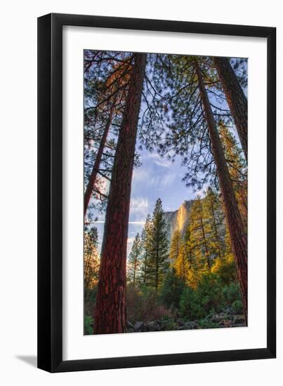 North View Through The Trees, Firefall, Horsetail Falls, Yosemite National Park-Vincent James-Framed Photographic Print