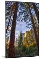 North View Through The Trees, Firefall, Horsetail Falls, Yosemite National Park-Vincent James-Mounted Photographic Print