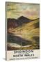 North Wales, England - Snowdon Mountain View Railway Poster-Lantern Press-Stretched Canvas