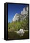 North West Face of Half Dome, and Mirror Lake, Yosemite NP, California-David Wall-Framed Stretched Canvas