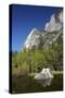 North West Face of Half Dome, and Mirror Lake, Yosemite NP, California-David Wall-Stretched Canvas
