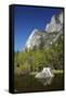 North West Face of Half Dome, and Mirror Lake, Yosemite NP, California-David Wall-Framed Stretched Canvas