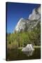 North West Face of Half Dome, and Mirror Lake, Yosemite NP, California-David Wall-Stretched Canvas