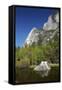 North West Face of Half Dome, and Mirror Lake, Yosemite NP, California-David Wall-Framed Stretched Canvas