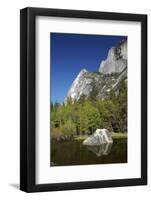 North West Face of Half Dome, and Mirror Lake, Yosemite NP, California-David Wall-Framed Photographic Print