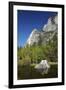 North West Face of Half Dome, and Mirror Lake, Yosemite NP, California-David Wall-Framed Photographic Print