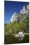 North West Face of Half Dome, and Mirror Lake, Yosemite NP, California-David Wall-Mounted Photographic Print
