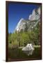 North West Face of Half Dome, and Mirror Lake, Yosemite NP, California-David Wall-Framed Photographic Print