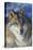 North-western wolf portrait, captive occurs in northwestern USA and Canada-Daniel Heuclin-Stretched Canvas