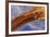 North Window Arch, , Arches National Park, Utah-John Ford-Framed Photographic Print