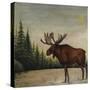 North Woods Moose II-David Cater Brown-Stretched Canvas