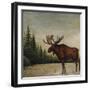 North Woods Moose II-David Cater Brown-Framed Art Print