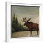 North Woods Moose II-David Cater Brown-Framed Art Print