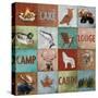 North Woods Squares-Art Licensing Studio-Stretched Canvas