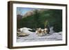 North Woodstock, New Hampshire - Ed Clark's Eskimo Dog Ranch, Dogsledding-Lantern Press-Framed Art Print