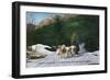 North Woodstock, New Hampshire - Ed Clark's Eskimo Dog Ranch, Dogsledding-Lantern Press-Framed Art Print