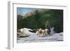 North Woodstock, New Hampshire - Ed Clark's Eskimo Dog Ranch, Dogsledding-Lantern Press-Framed Art Print