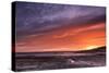 Northam Burrows First Light-Terry Mathews-Stretched Canvas