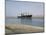 Northbound Ship, Suez Canal, Egypt, North Africa, Africa-Jack Jackson-Mounted Photographic Print