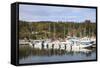 Northeast Harbor, Mount Desert Island, Maine, New England, United States of America, North America-Wendy Connett-Framed Stretched Canvas