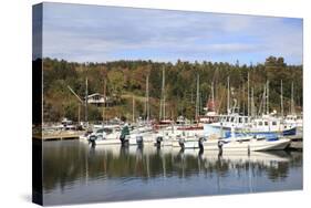 Northeast Harbor, Mount Desert Island, Maine, New England, United States of America, North America-Wendy Connett-Stretched Canvas