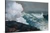 Northeaster, 1895-Winslow Homer-Stretched Canvas