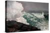 Northeaster-Winslow Homer-Stretched Canvas