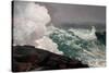 Northeaster-Winslow Homer-Stretched Canvas