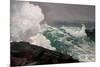 Northeaster-Winslow Homer-Mounted Premium Giclee Print