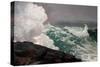 Northeaster-Winslow Homer-Stretched Canvas