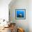 Northern Bahamas, Caribbean. Nassau grouper.-Stuart Westmorland-Framed Photographic Print displayed on a wall