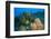 Northern Bahamas, Caribbean-Stuart Westmorland-Framed Photographic Print