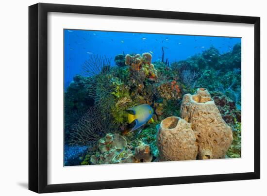 Northern Bahamas, Caribbean-Stuart Westmorland-Framed Photographic Print