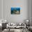 Northern Bahamas, Caribbean-Stuart Westmorland-Framed Stretched Canvas displayed on a wall