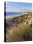Northern Beach, Chatham Islands Islands-Julia Thorne-Stretched Canvas