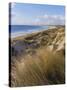 Northern Beach, Chatham Islands Islands-Julia Thorne-Stretched Canvas