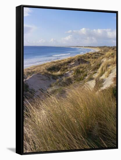 Northern Beach, Chatham Islands Islands-Julia Thorne-Framed Stretched Canvas