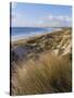 Northern Beach, Chatham Islands Islands-Julia Thorne-Stretched Canvas