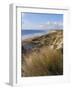 Northern Beach, Chatham Islands Islands-Julia Thorne-Framed Photographic Print