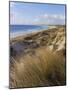 Northern Beach, Chatham Islands Islands-Julia Thorne-Mounted Photographic Print