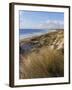 Northern Beach, Chatham Islands Islands-Julia Thorne-Framed Photographic Print