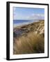 Northern Beach, Chatham Islands Islands-Julia Thorne-Framed Photographic Print