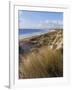 Northern Beach, Chatham Islands Islands-Julia Thorne-Framed Photographic Print