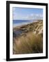 Northern Beach, Chatham Islands Islands-Julia Thorne-Framed Photographic Print