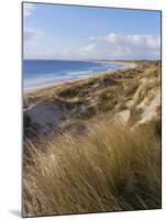 Northern Beach, Chatham Islands Islands-Julia Thorne-Mounted Photographic Print