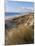 Northern Beach, Chatham Islands Islands-Julia Thorne-Mounted Photographic Print